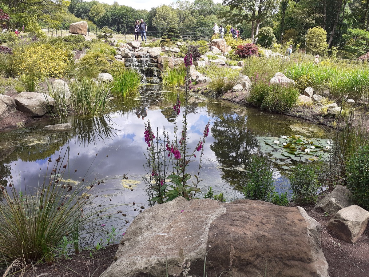 The Japanese Garden.